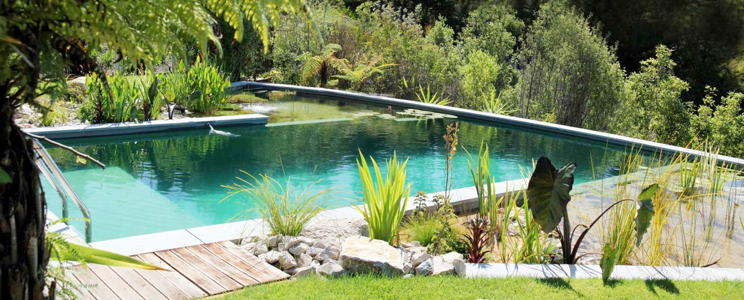 Immerse yourself in pure nature