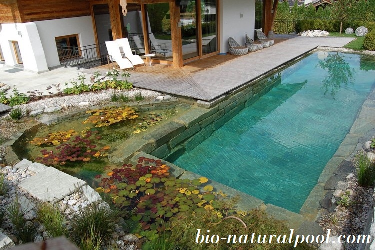 Kỹ thuật hồ bơi cổ điển cải tiến - Living Pool