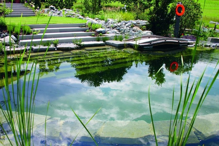 HỒ BƠI SINH THÁI 03