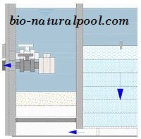 Kỹ thuật hồ bơi sinh thái