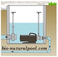 Kỹ thuật hồ bơi sinh thái