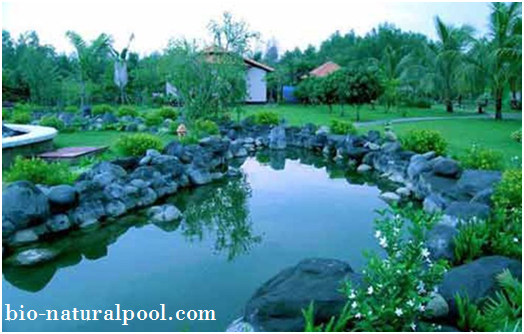 Kỷ thuật hồ cảnh quan và thủy sinh